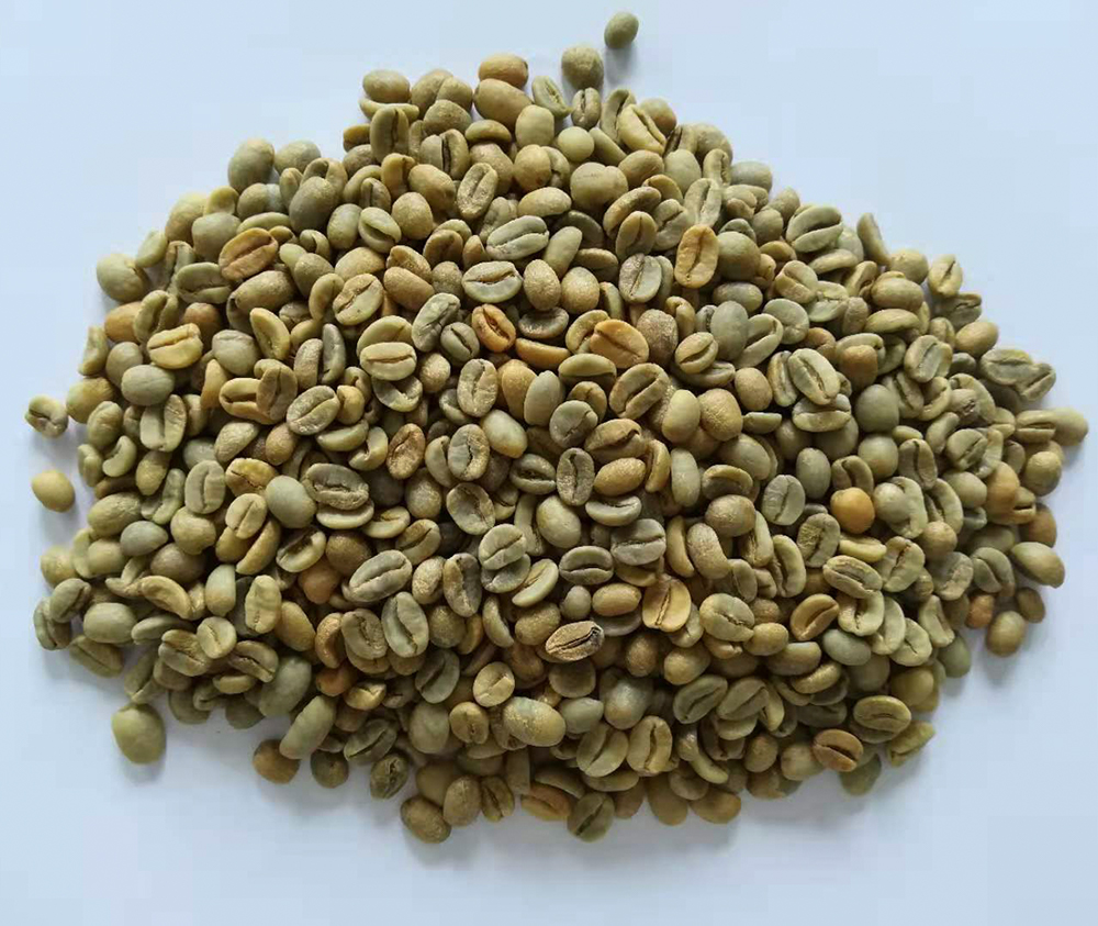 生豆 墨西哥96小時(shí).jpg